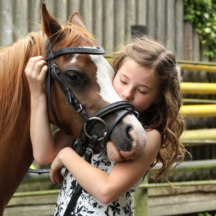 Passeggiate a cavallo a Sellano | © Visit Sellano
