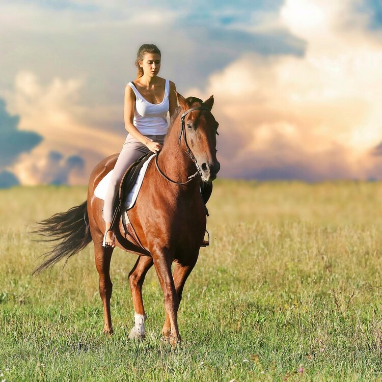 Passeggiate a cavallo a Sellano | © Visit Sellano