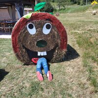 Zucca