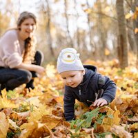 Pexels Yan Krukau 5791244 Foliage Bimbo