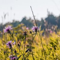 Tradizione e folklore Umbria | © Visit Sellano