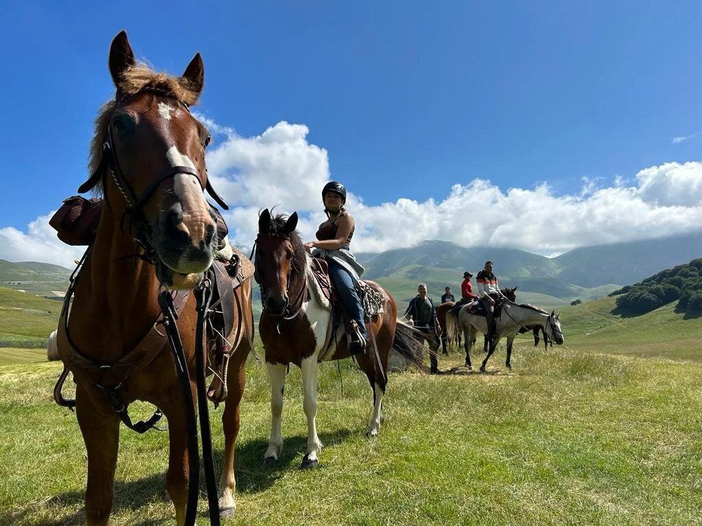 Trekking a cavallo tra mulattiere e praterie di Civitella